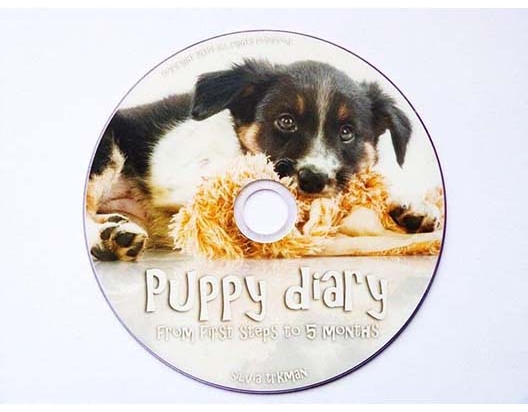 DVD Puppy diary