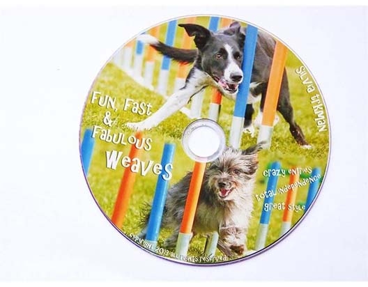 DVD Fun fast and fabulous weaves