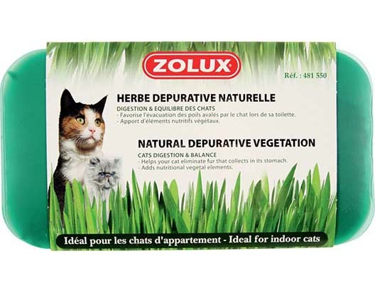 Herbe à chat dépurative naturelle 250g