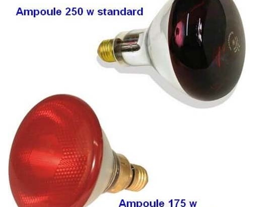Ampoule infrarouge