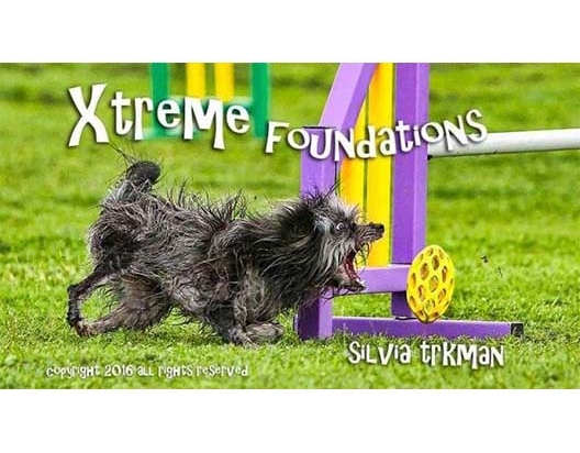 DVD agility Xtreme Foundations par Silvia trkman