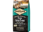 Carnilove Fresh carpe et truite croquettes pour chien