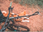 Non Stop bike antenna