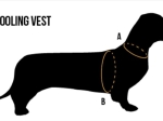 Hurtta veste rafraîchissante Cooling Wrap pour chien