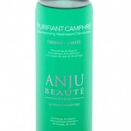Anju Beaute shampooing purifiant au camphre