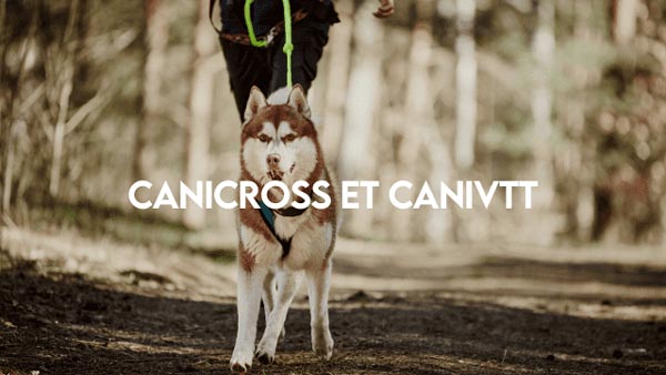 Canicross_et_canivtt