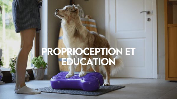 Proprioception_et_éducation