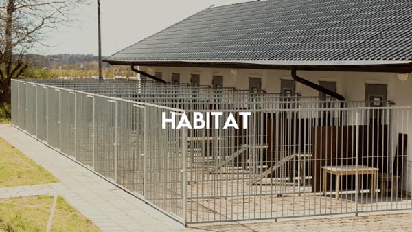 Habitat_éleveurs