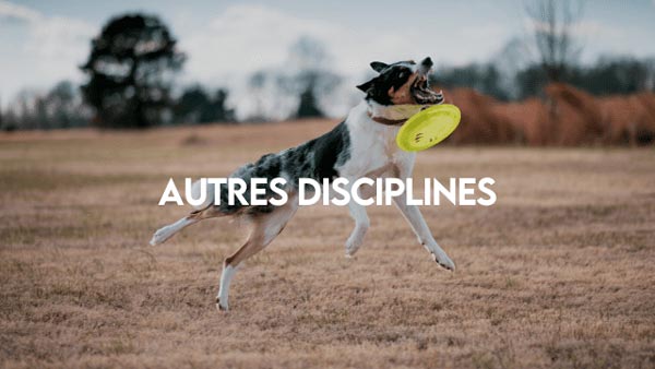 Autres_Disciplines