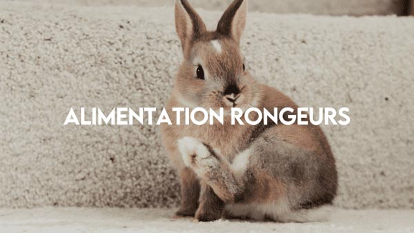 Alimentation_rongeurs