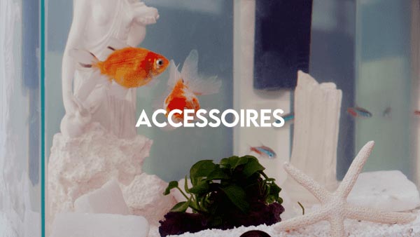 Accessoires_aquariophile